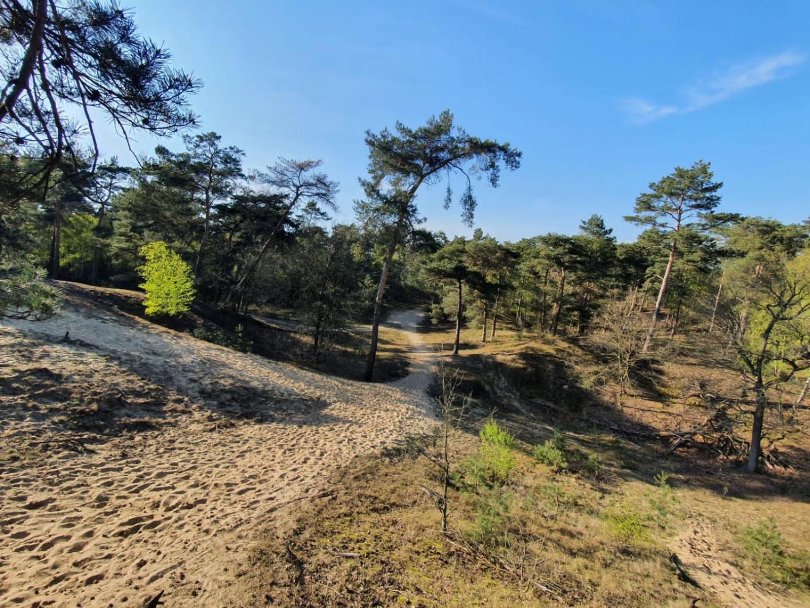 Marduijn Villa Lomm Bagian luar foto